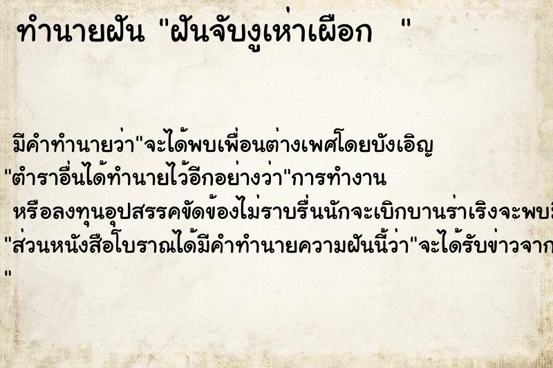 ทำนายฝันทำนายฝันฝันจับงูเห่าเผือก
